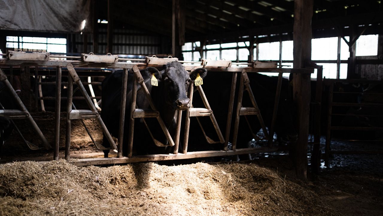 Farm Bill gets one-year extension, NY farmers still worried - Vimarsana News